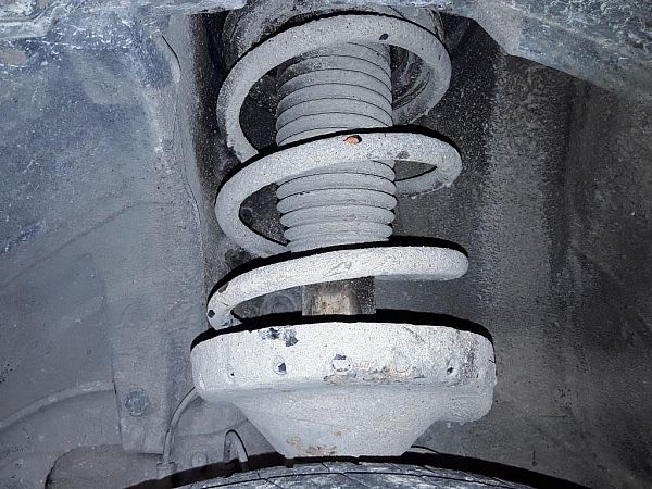 Federbein vorn SUBARU FORESTER (SG_)