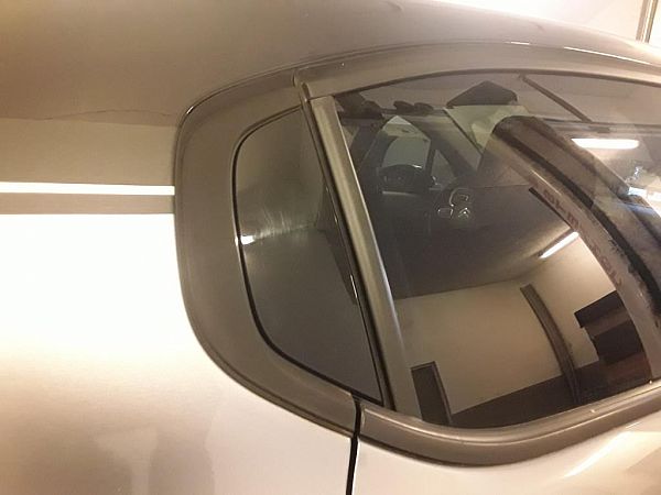 Lijst spatbord CITROËN C3 III (SX)
