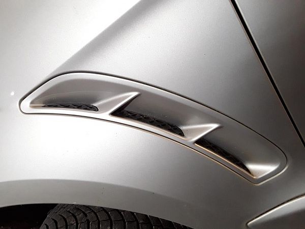 Lijst spatbord FORD S-MAX (WA6)