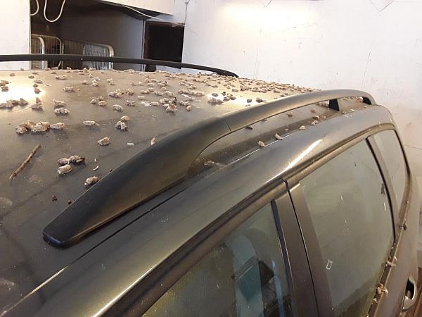Roof rail VW PASSAT B7 Estate (365)