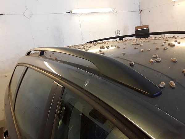 Roof rail VW PASSAT B7 Estate (365)