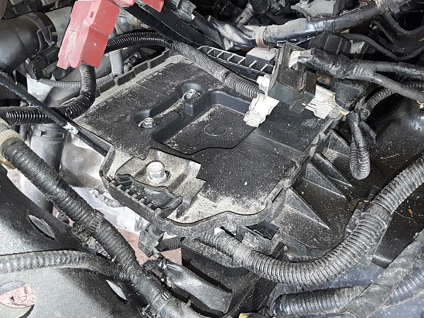 Accubak SUZUKI VITARA (LY)