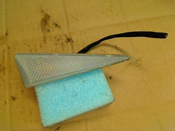 Seiten Blinker-Kotflügel RENAULT MEGANE II (BM0/1_, CM0/1_)