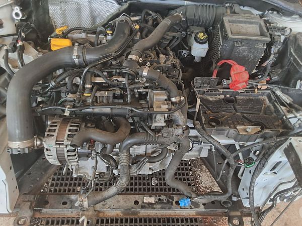 Motor RENAULT CLIO IV (BH_)