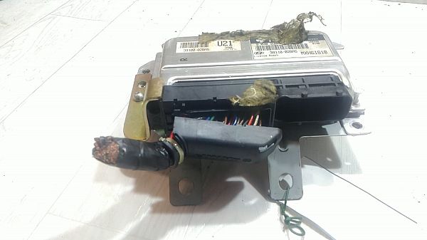 motorstyringsenhed (ECU) HYUNDAI AMICA / ATOZ (MX)