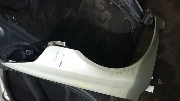 Forskærm højre RENAULT LAGUNA II (BG0/1_)