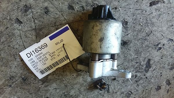 Egr ventil CHEVROLET SPARK (M300)