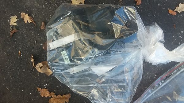 Sikkerhedssele - bag MAZDA 5 (CR19)