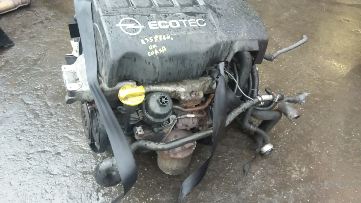 Opel - Engine