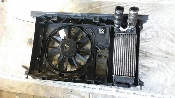 Heating element PEUGEOT 308 I (4A_, 4C_)