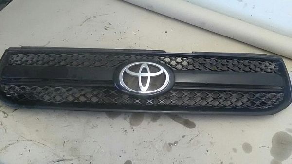 Grill TOYOTA RAV 4 Mk II (_A2_)