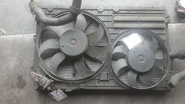 Koelvin / Vin SEAT ALTEA (5P1)