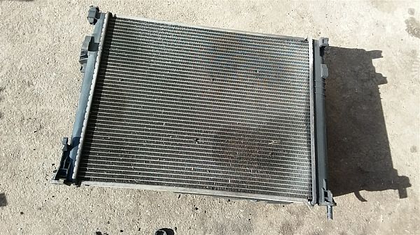 Elektryczny wentylator chłodnicy OPEL VIVARO A Box (X83)