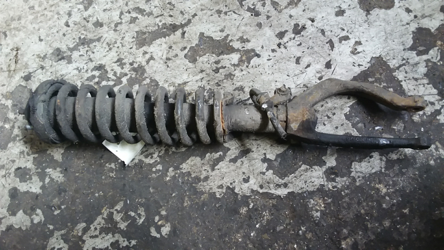 Stoßdämpfer vorn ROVER 45 Hatchback (RT)