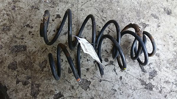 Rear spring - coil PEUGEOT 207 (WA_, WC_)