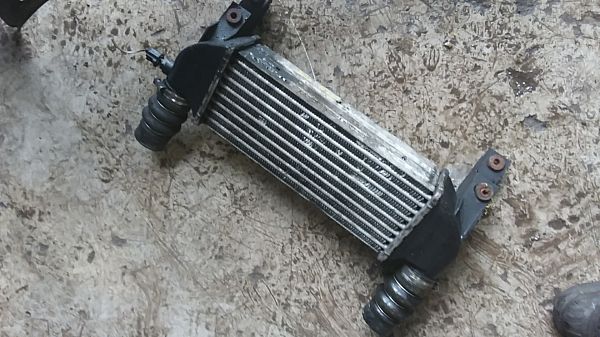 Ladeluftkühler FORD TRANSIT CONNECT (P65_, P70_, P80_)