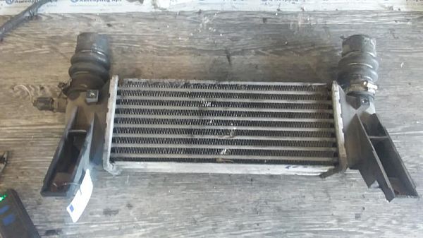 Ladeluftkühler FORD TRANSIT CONNECT (P65_, P70_, P80_)