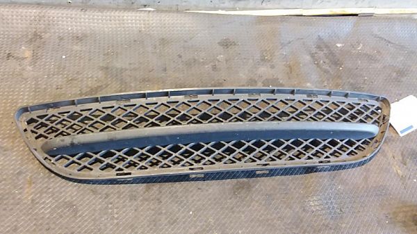 Bumper grille SEAT LEON (1M1)