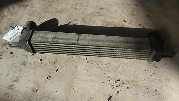 Heating element PEUGEOT BIPPER (AA_)
