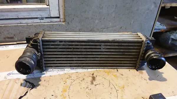 Ladeluftkühler FORD TRANSIT CONNECT (P65_, P70_, P80_)