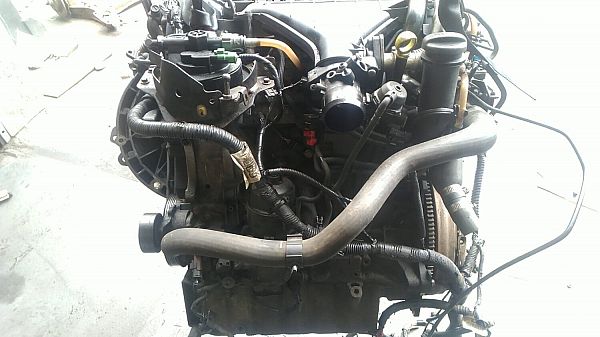 Motor FORD S-MAX (WA6)