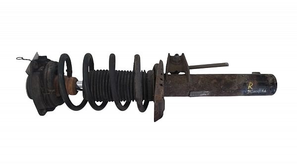 Shock absorber with coil spring