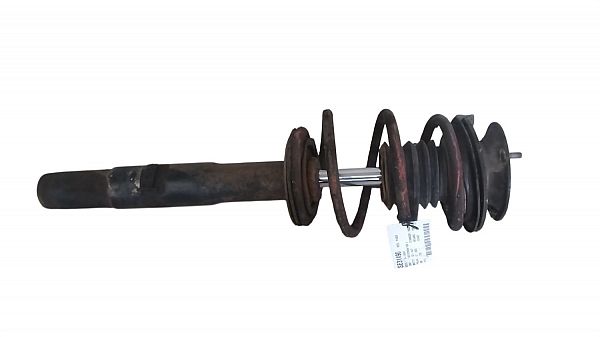 Front strut BMW 5 (E60)