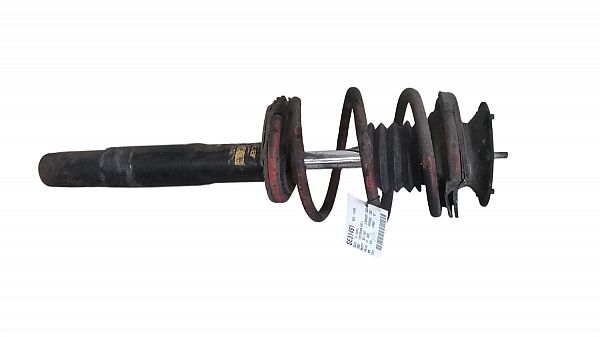 Front strut BMW 5 (E60)