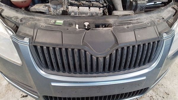 Kühlergrill SKODA FABIA II (542)