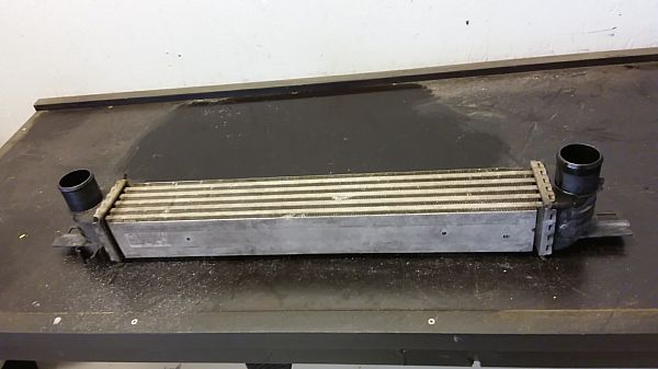 Heating element PEUGEOT BIPPER (AA_)