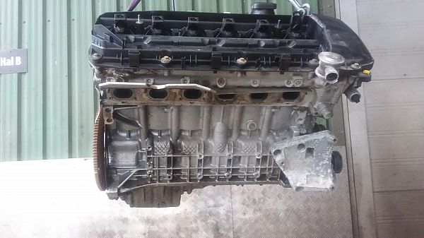 Engine BMW 5 (E60)