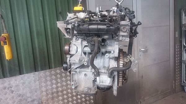 Motor RENAULT CLIO IV (BH_)