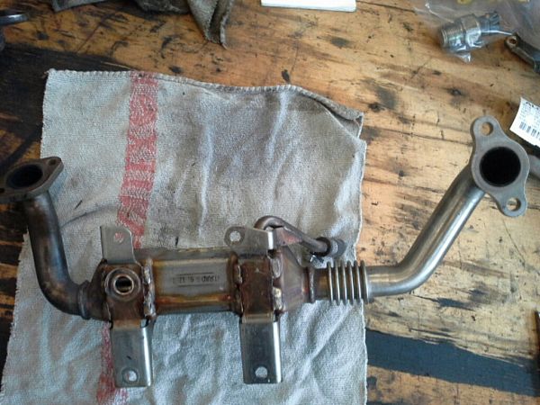 EGR valve cooler