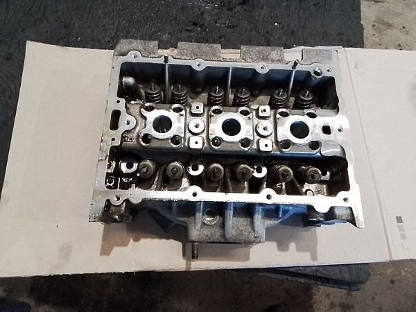 Zylinderkopf SKODA FABIA III (NJ3)