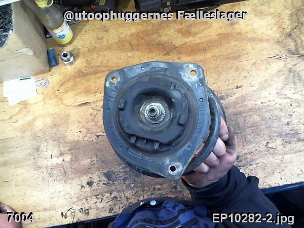 Federbein vorn NISSAN QASHQAI / QASHQAI +2 I (J10, NJ10, JJ10E)