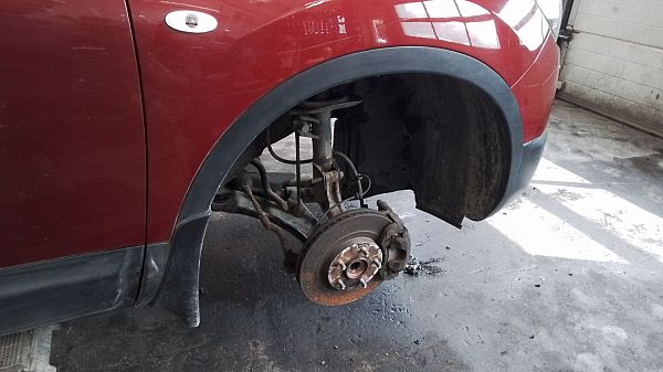 Pynteliste skærm NISSAN QASHQAI / QASHQAI +2 I (J10, NJ10, JJ10E)