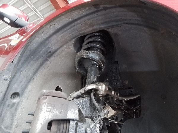 Fjederben for FORD FOCUS III