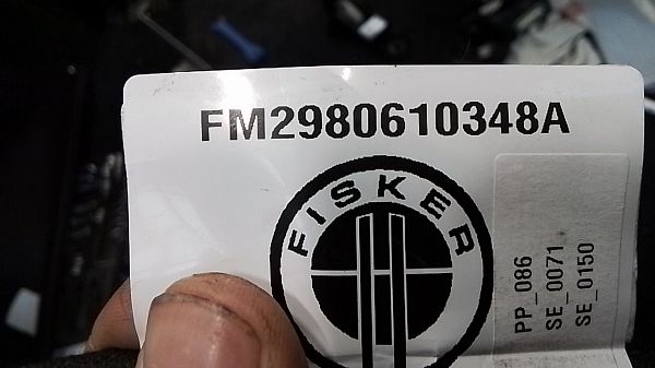 Kabelbaum für Tür FISKER OCEAN