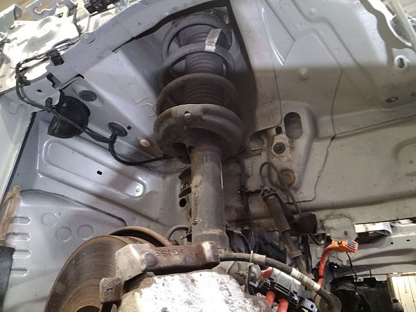 Federbein vorn POLESTAR POLESTAR 2