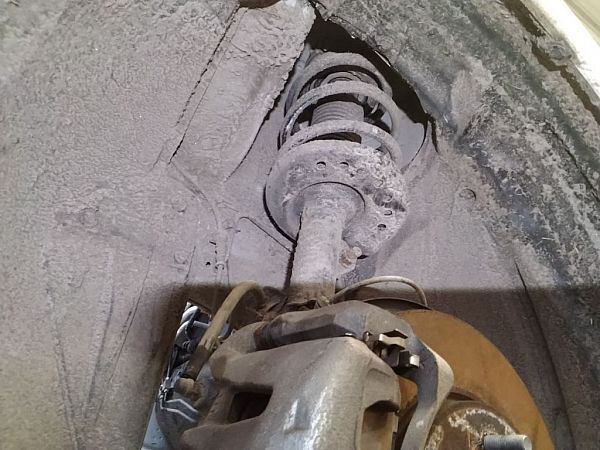 Federbein vorn NISSAN LEAF (ZE1_)