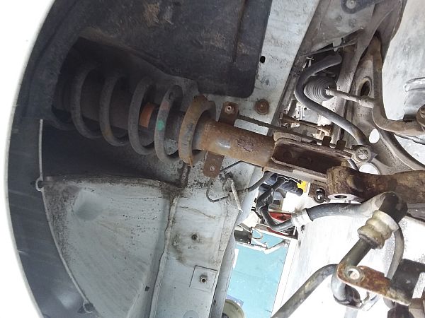 Federbein vorn NISSAN PRIMASTAR Box (X83)
