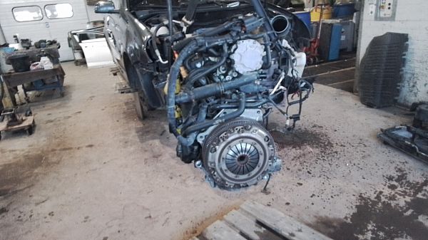 Motor VW POLO (9N_)