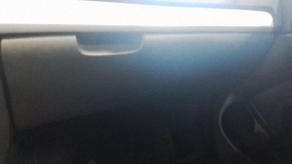 Glove compartment SKODA OCTAVIA II Combi (1Z5)