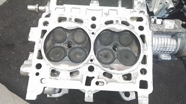 Zylinderkopf FIAT PANDA (312_, 319_)