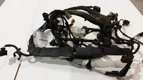 Engine installation wiring loom