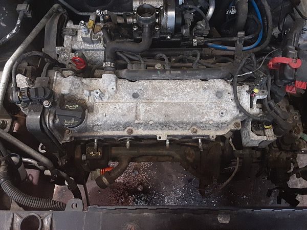 Motor FIAT PANDA (169_)