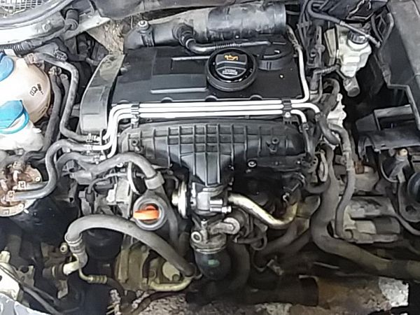Motor SKODA OCTAVIA II Combi (1Z5)