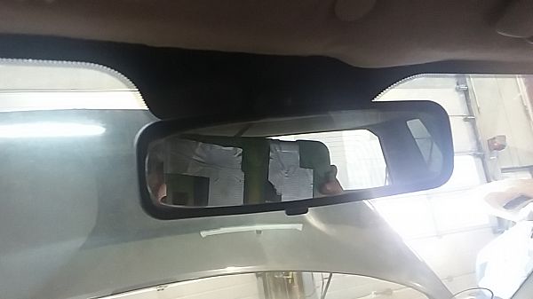 Loftslys LAND ROVER FREELANDER (L314)