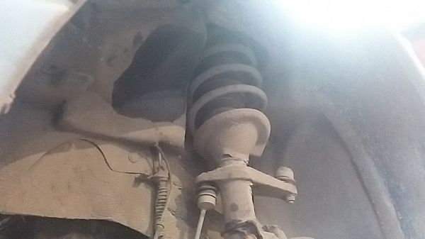 Federbein vorn LAND ROVER FREELANDER (L314)