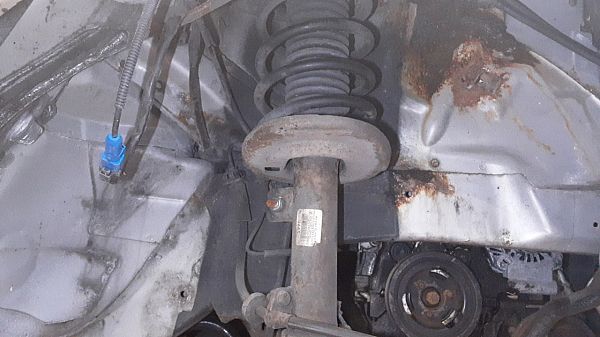 Federbein vorn PEUGEOT 207 SW (WK_)